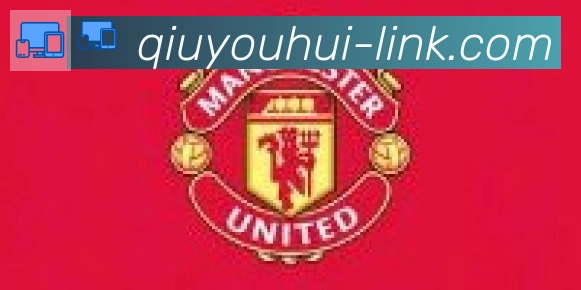 球友会合作伙伴